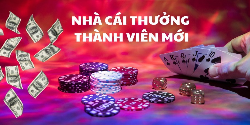 Nhận khuyến mãi giúp người mới nhanh chóng trải nghiệm cá cược