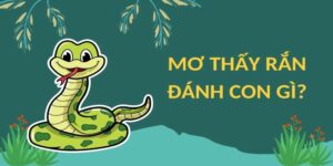 Tìm hiểu lý do vì sao chúng ta hay mơ thấy rắn