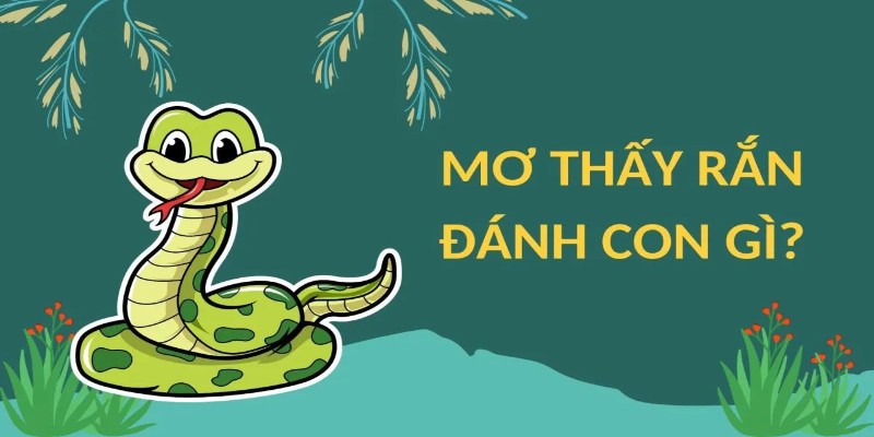 Tìm hiểu lý do vì sao chúng ta hay mơ thấy rắn